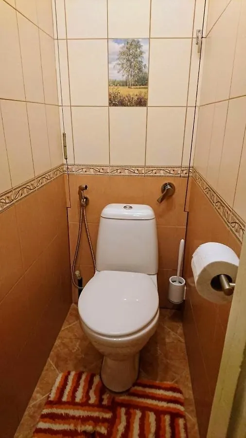 Double Room Apartment In The Midtown Kyiv